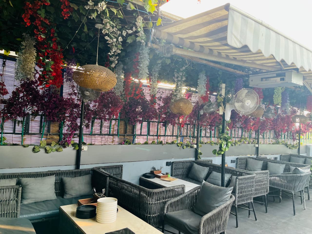 Aesthetic Rooftop Dining